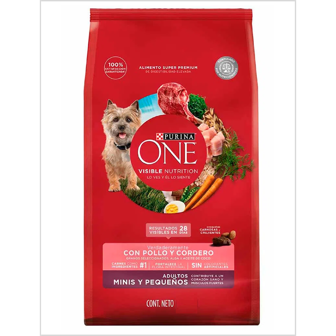 One Adulto Raza Pequeña Cordero 1