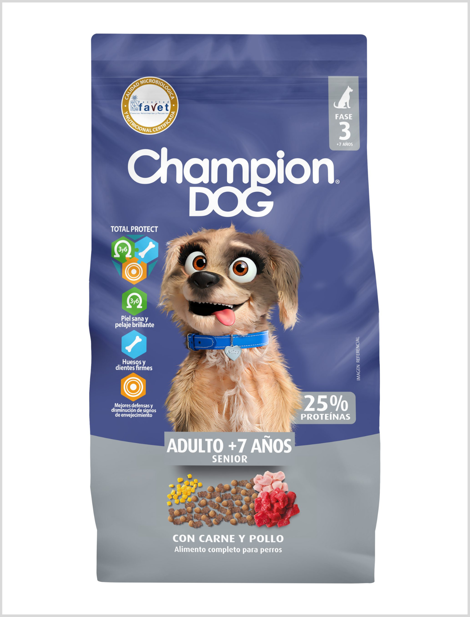 Champion Dog Senior