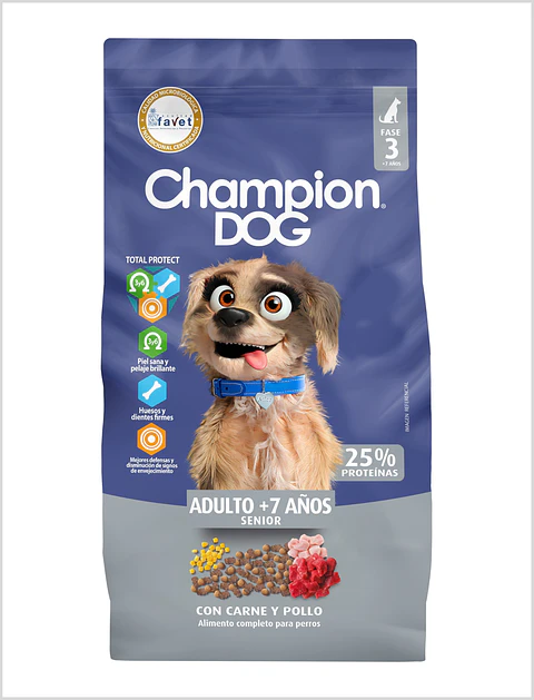 Champion Dog Senior