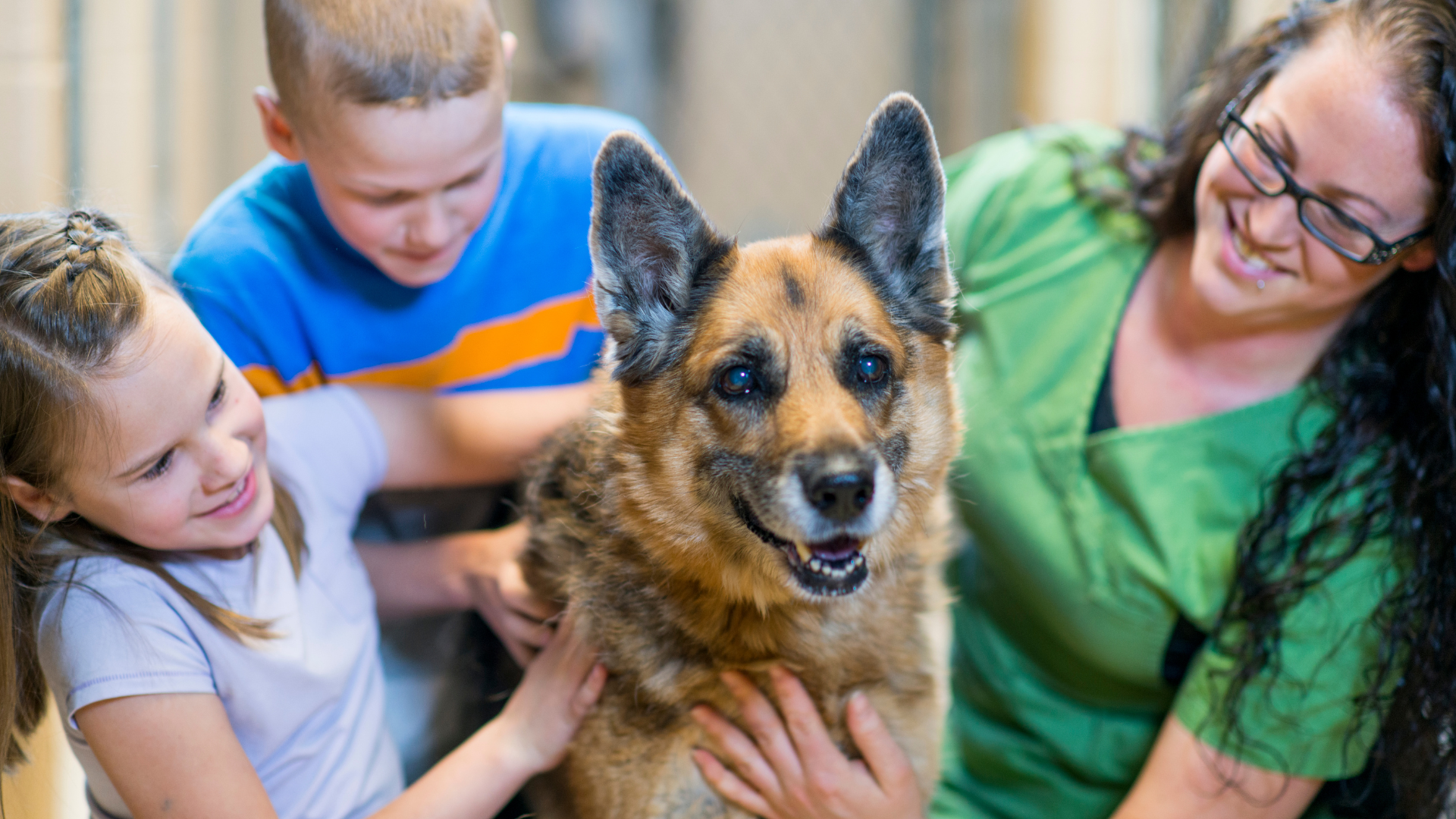 Descubre los principales beneficios de tener una mascota