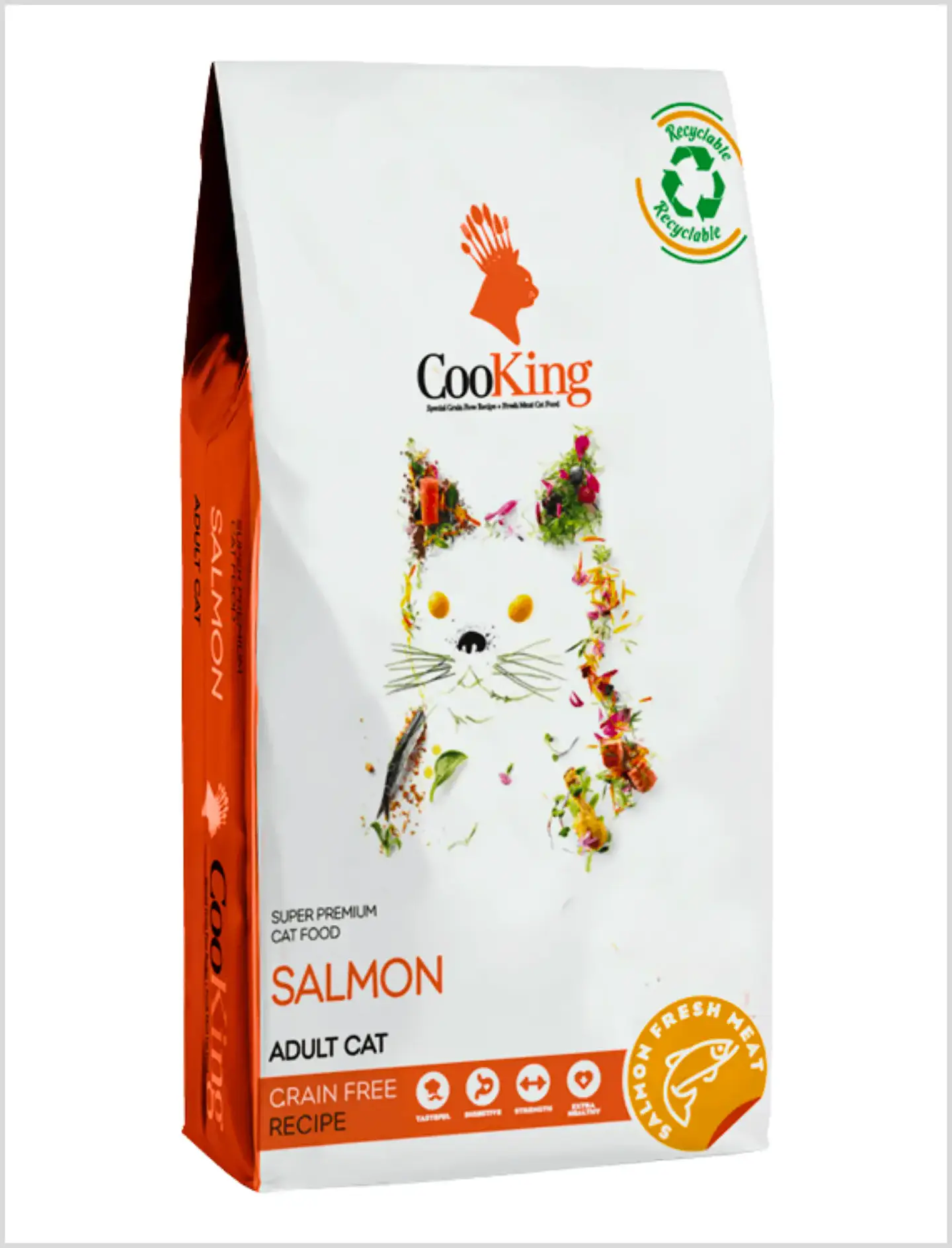 Cooking Cat Salmon 1
