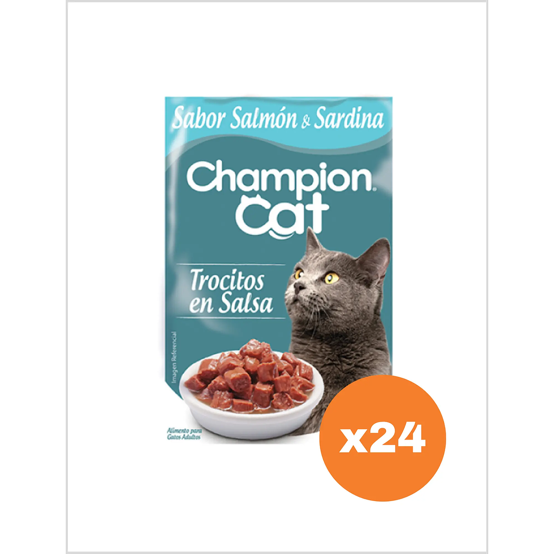 Champion Cat Sachet Trocitos Salmon Sardina 100 g - Pack x24 1