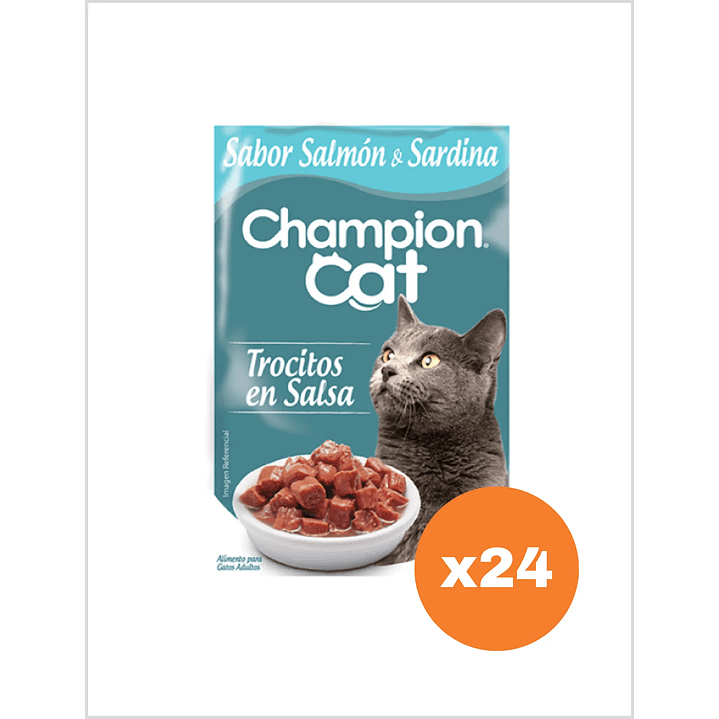 Champion Cat Sachet Trocitos Salmon Sardina 100 g - Pack x24 1