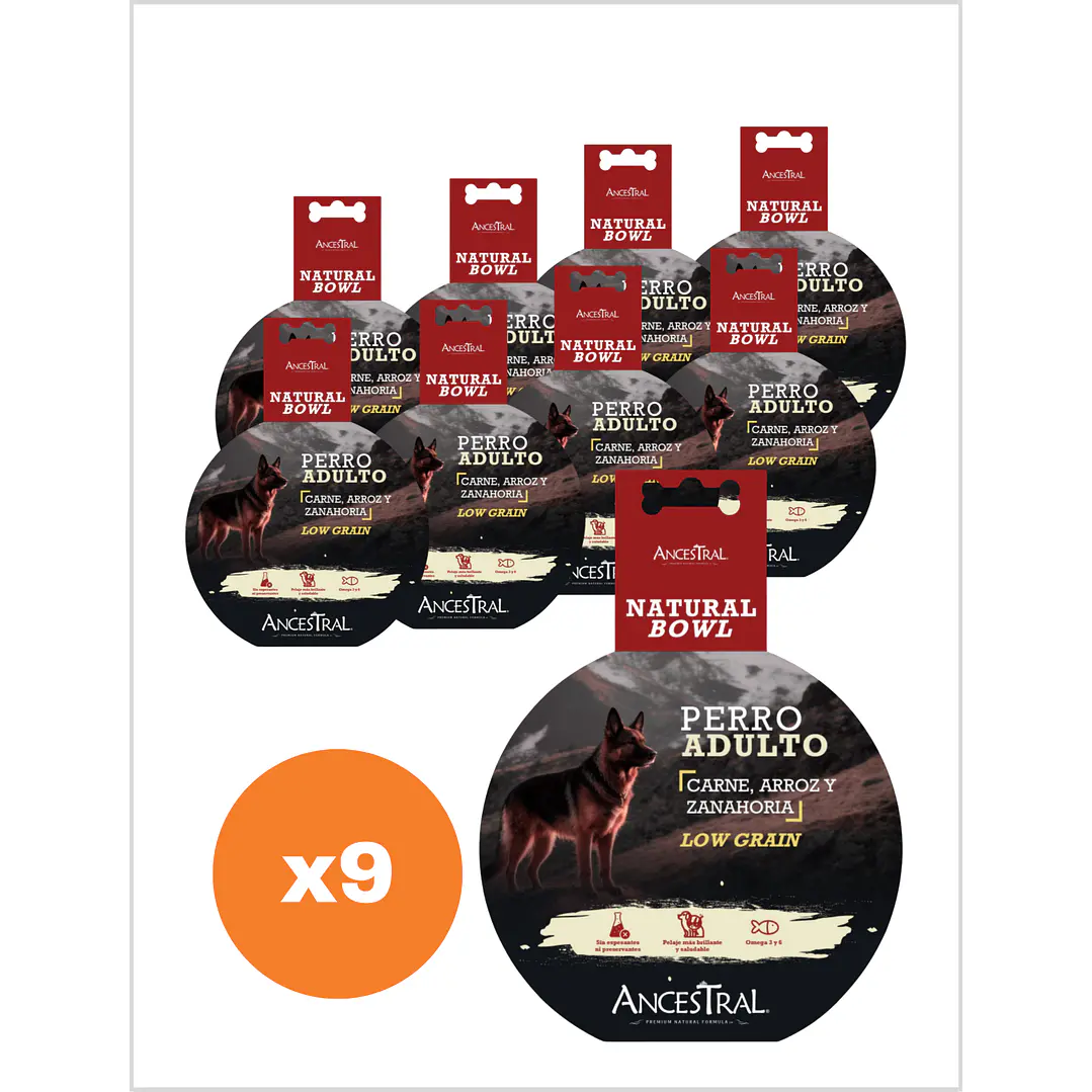 Ancestral Humedo Natural Bowl Perro 300 gr 2