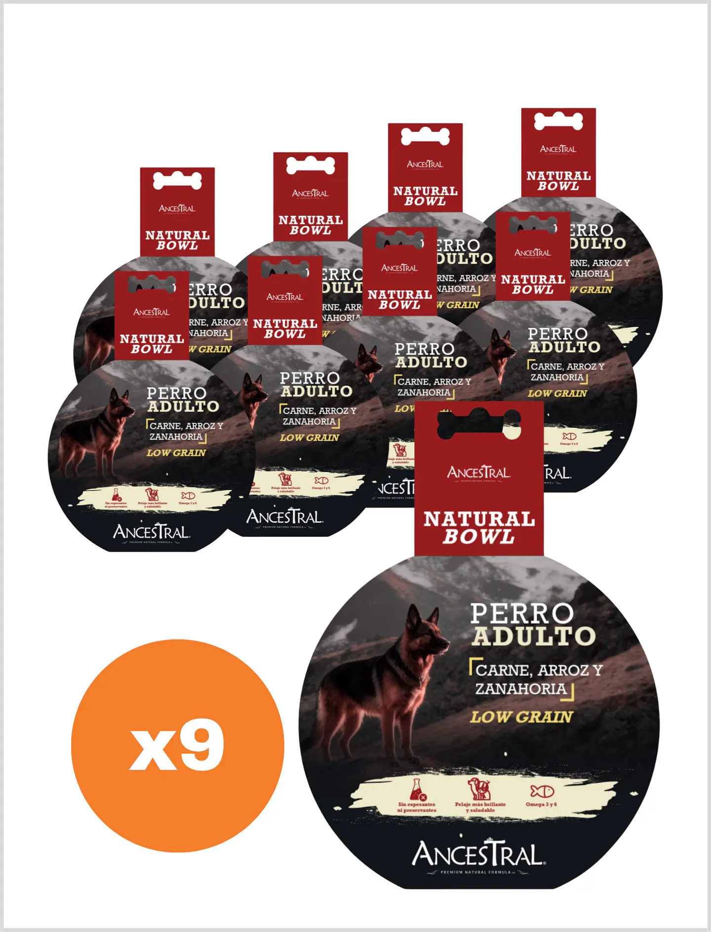Ancestral Alimento Húmedo Perro 300 gr 2
