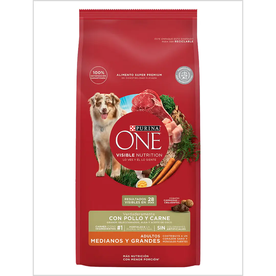 Purina One Adulto Medianos y Grandes 6 Kg 1