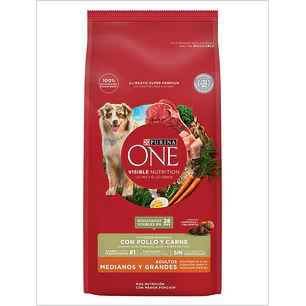 Purina One Adulto Medianos y Grandes 6 Kg