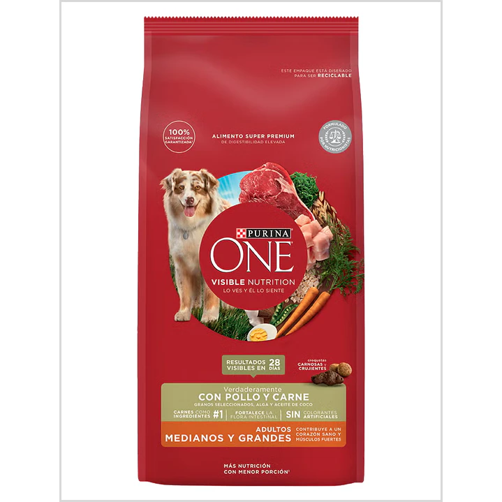Purina One Adulto Medianos y Grandes 6 Kg 1