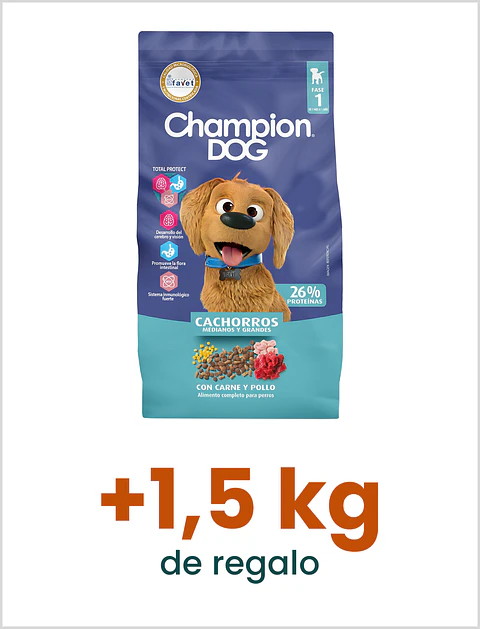 Champion Dog Cachorro 18 Kg
