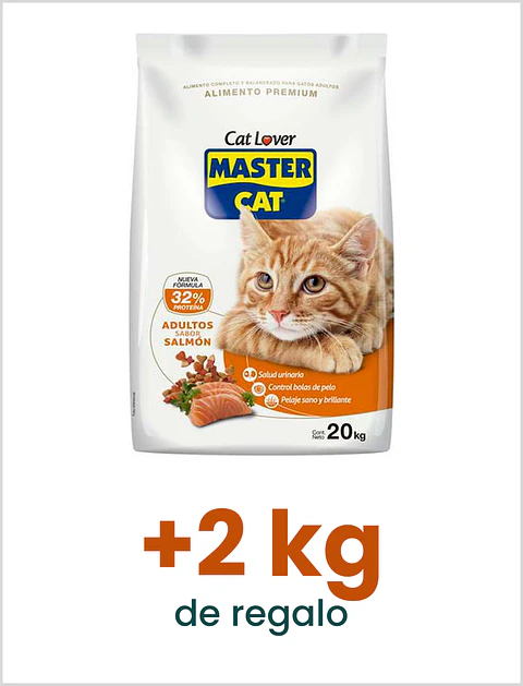 Master Cat Salmon 20 Kg