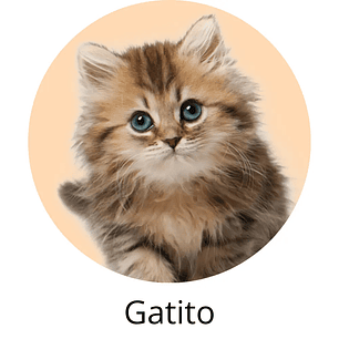 Gatito