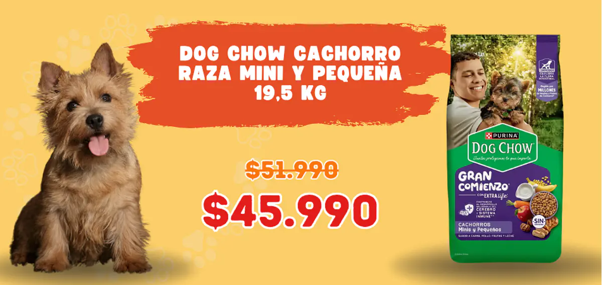 Título del banner