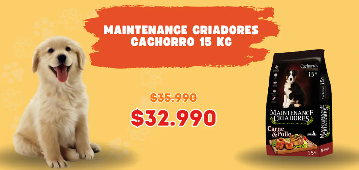 Título del banner