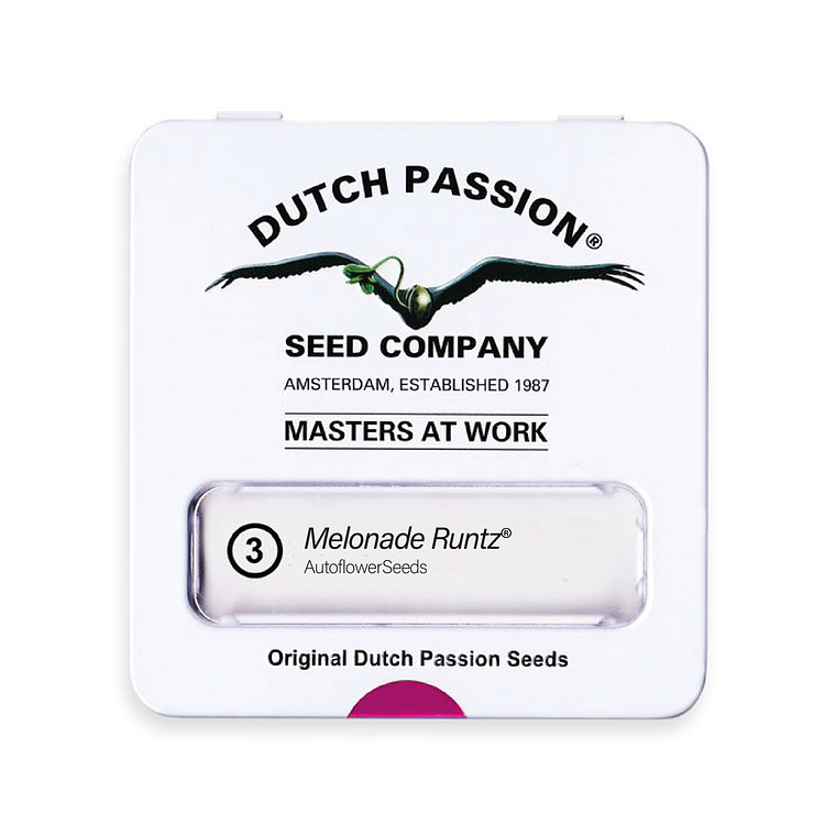 DUTCH PASSION - AUTO MELONADE RUNTZ X3 1