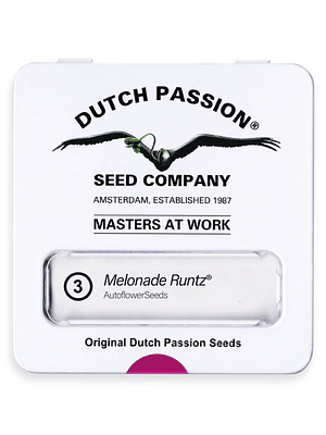 DUTCH PASSION - AUTO MELONADE RUNTZ X3