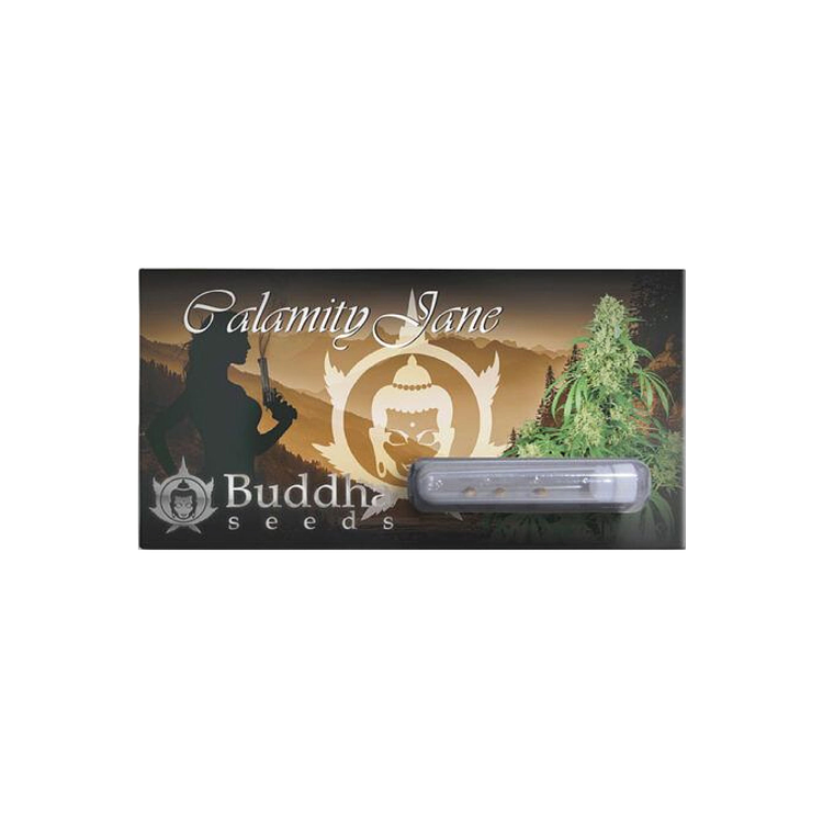 BUDDHA SEEDS - CALAMITY JANE AUTO X3 1