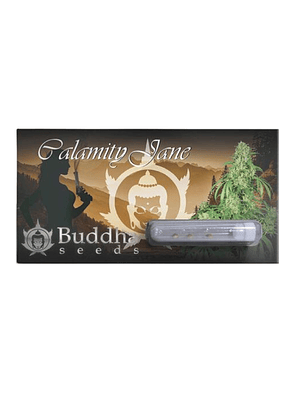 BUDDHA SEEDS - CALAMITY JANE AUTO X3