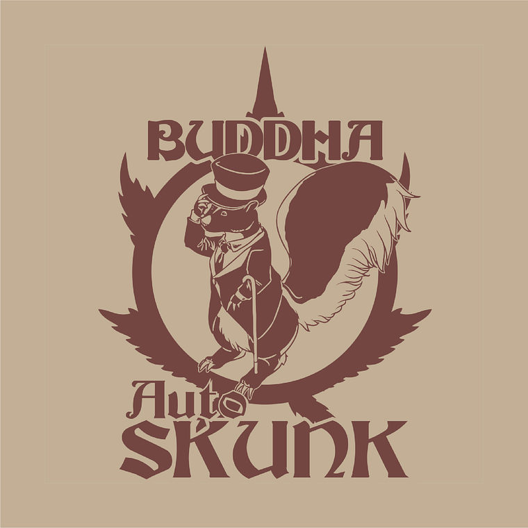 BUDDHA SEEDS - CLASSICS SKUNK AUTO X3 1