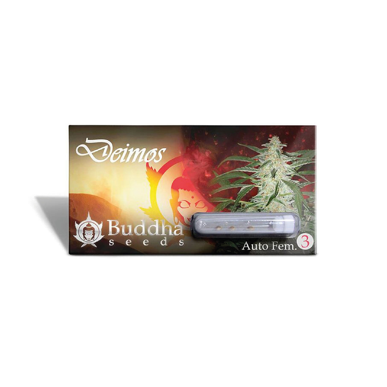 BUDDHA SEEDS - DEIMOS AUTO X3 1