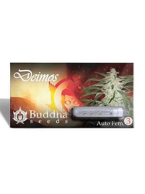 BUDDHA SEEDS - DEIMOS AUTO X3