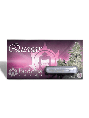 BUDDHA SEEDS - QUASAR X3