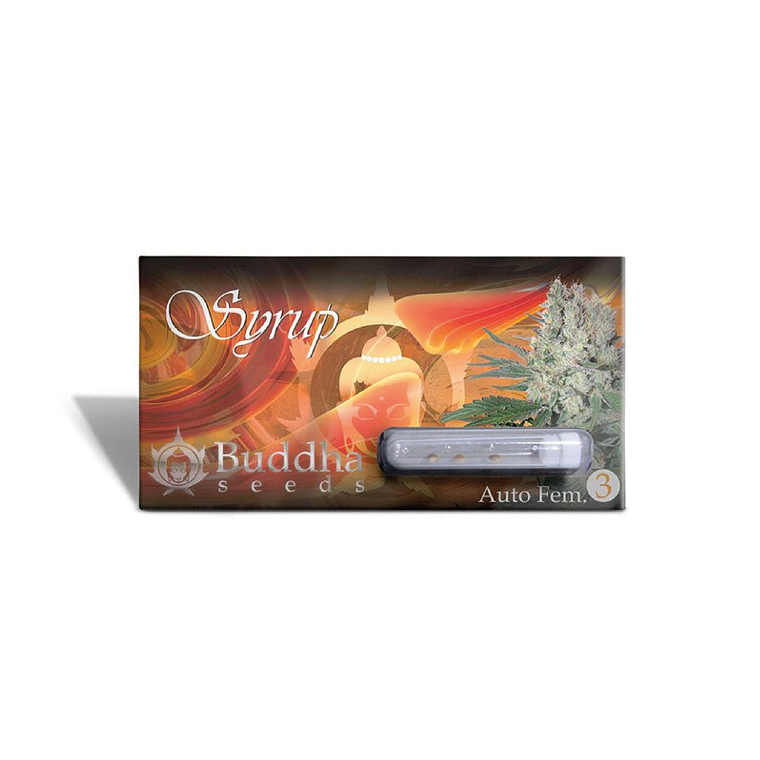 BUDDHA SEEDS - SYRUP AUTO X3 1