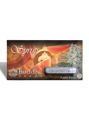 BUDDHA SEEDS - SYRUP AUTO X3