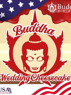 BUDDHA SEEDS - WEDDING CHEESECAKE X3