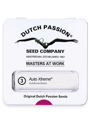 DUTCH PASSION - AUTO XTREME X3