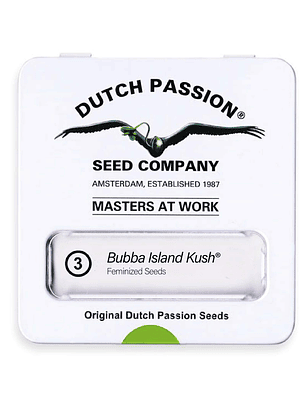 DUTCH PASSION - BUBBA ISLAND KUSH X3