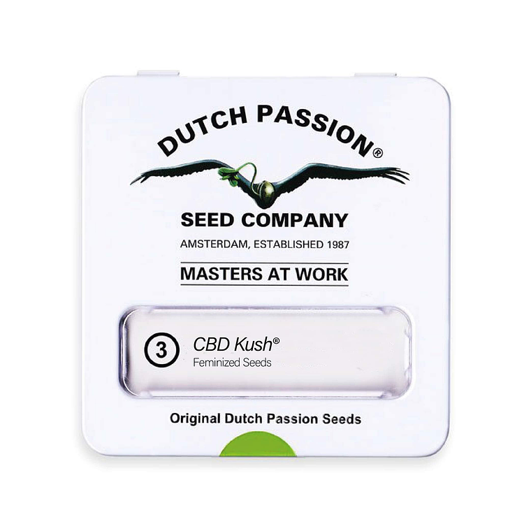 DUTCH PASSION - CBD KUSH X3 1