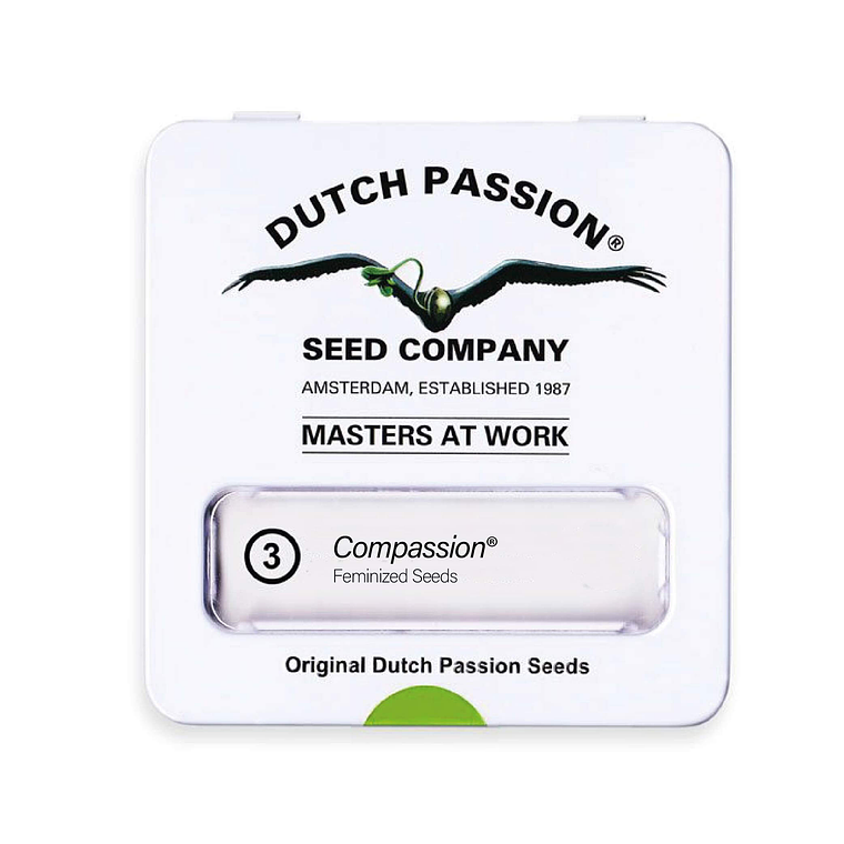 DUTCH PASSION - COMPASSION CBD X3 1