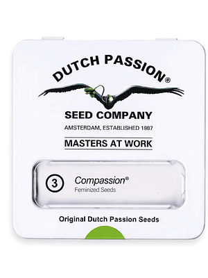 DUTCH PASSION - COMPASSION CBD X3