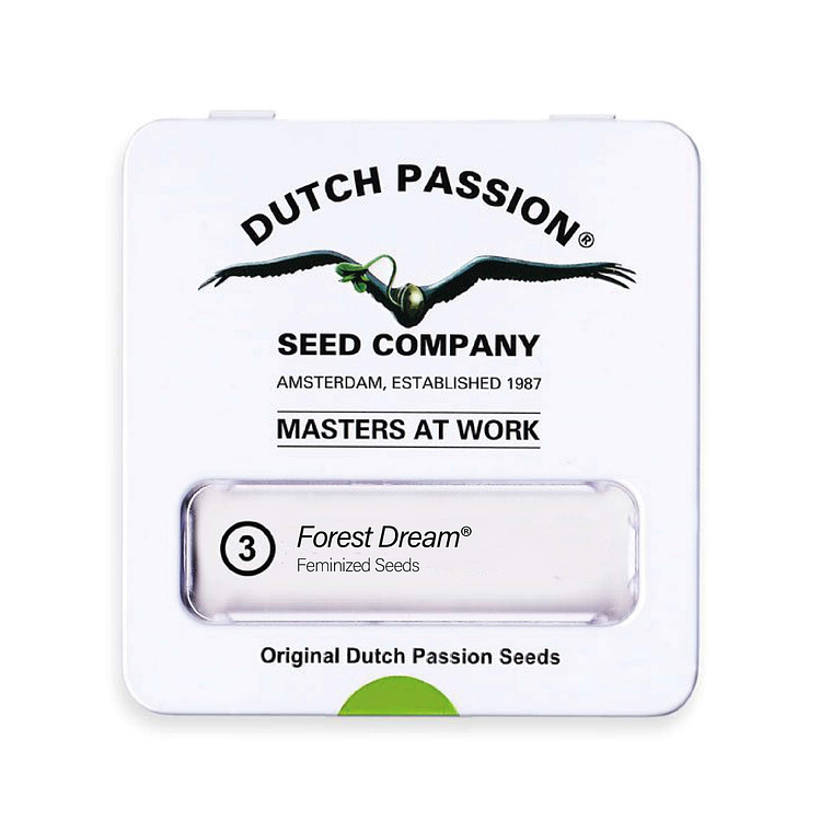 DUTCH PASSION - FOREST DREAM X3 1