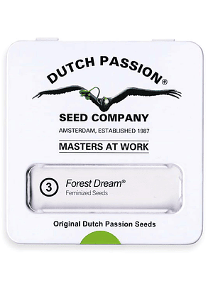 DUTCH PASSION - FOREST DREAM X3