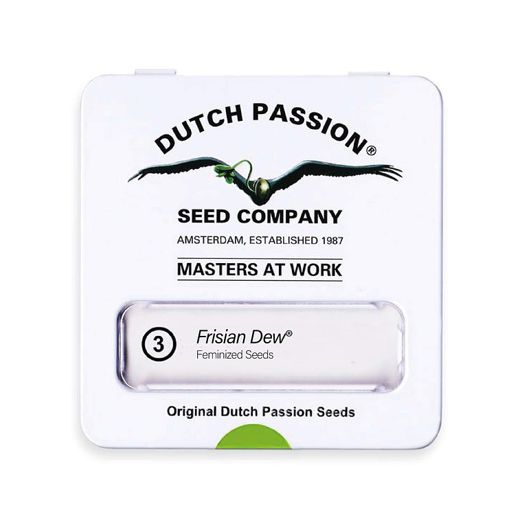 DUTCH PASSION - FRISIAN DEW X3 1