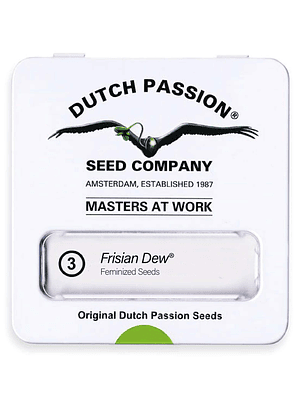 DUTCH PASSION - FRISIAN DEW X3