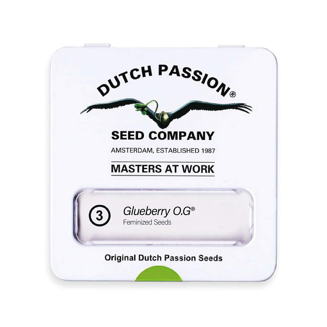 DUTCH PASSION - GLUEBERRY OG X3 1