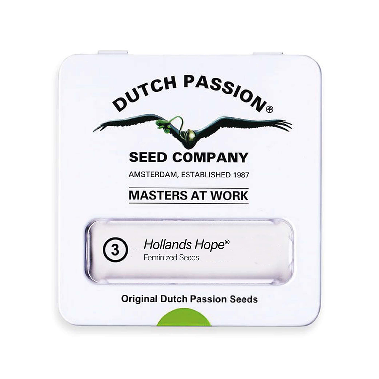 DUTCH PASSION - HOLLAND HOPES X3 1
