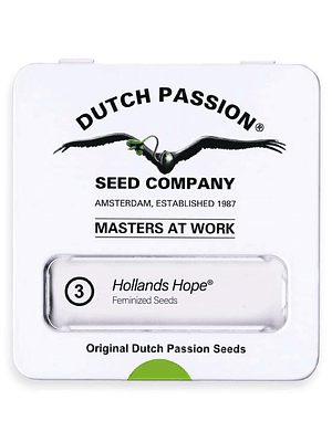 DUTCH PASSION - POWER PLANT X3