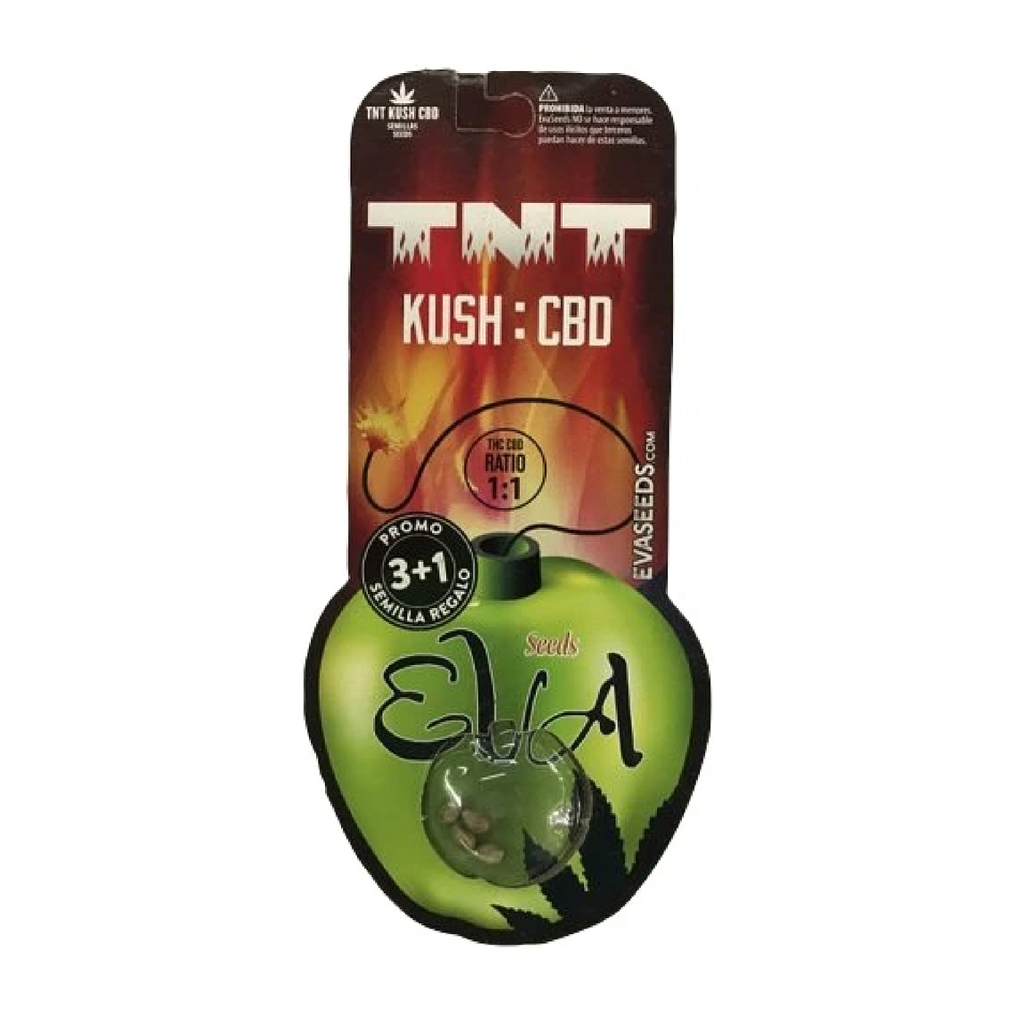 EVA SEEDS - TNT KUSH CBD X3 1