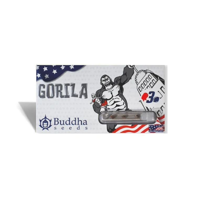 BUDDHA SEEDS - GORILA X3 1