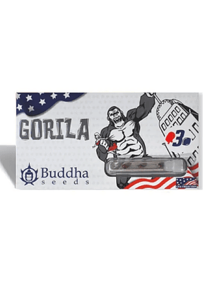 BUDDHA SEEDS - GORILA X3