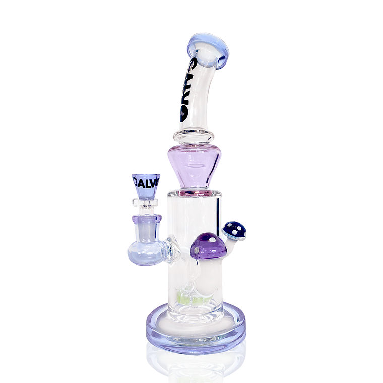 CALVO GLASS - DOUBLE FUNGUS RIG 1