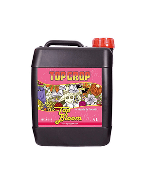 TOP CROP - TOP BLOOM