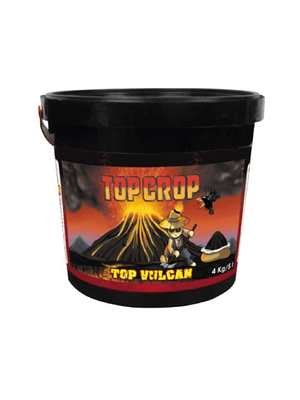 TOP CROP - TOP VULCAN