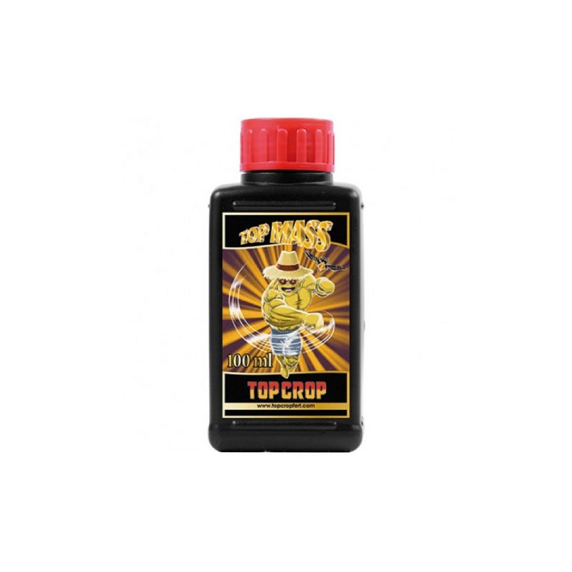 TOP CROP - TOP MASS 2