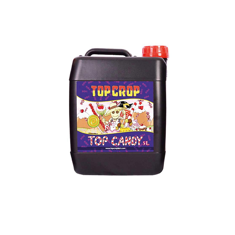 TOP CROP - TOP CANDY 3
