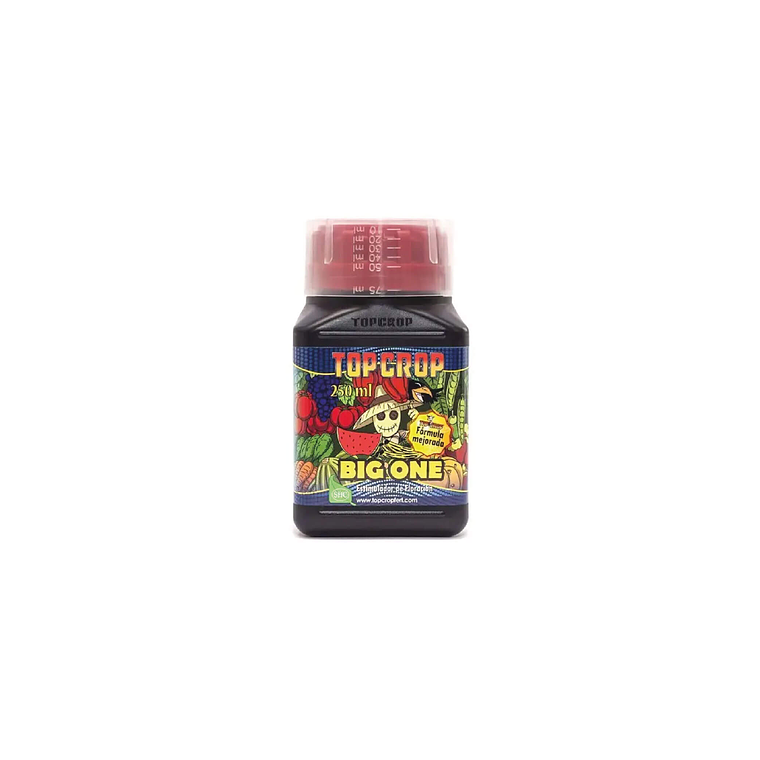 TOP CROP - BIG ONE 250ML 1