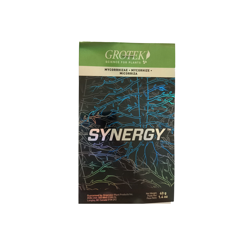 GROTEK - SYNERGY 2